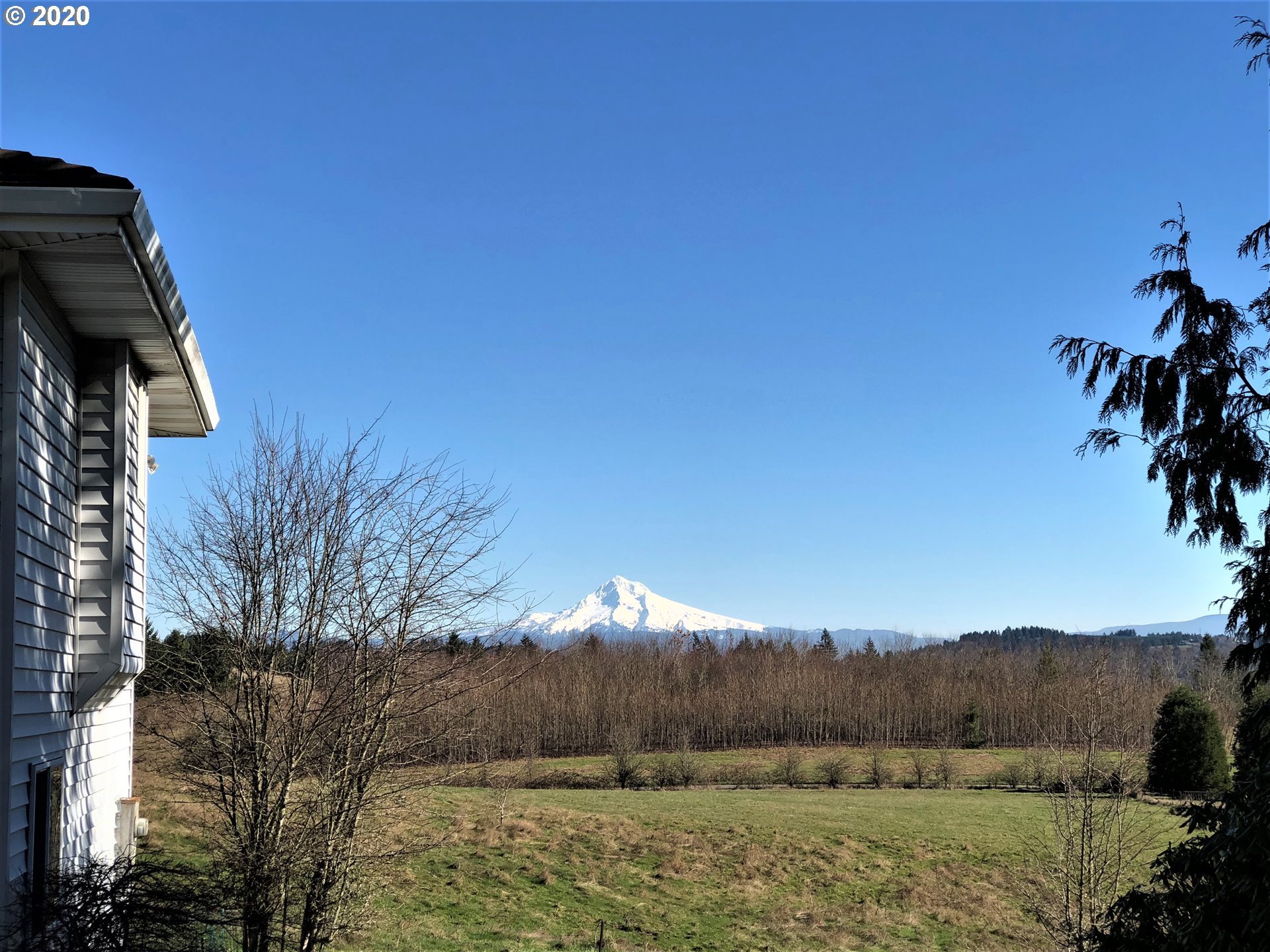 20665 Southeast Borges Road Damascus, OR 97089 - Photo 26 of 31