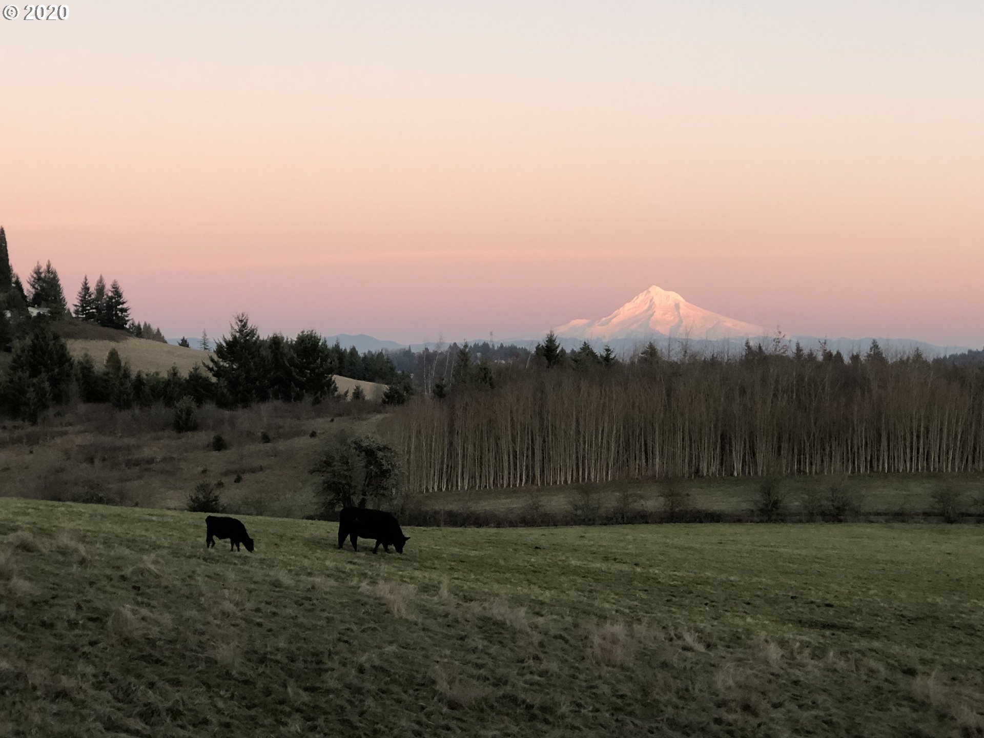 20665 Southeast Borges Road Damascus, OR 97089 - Photo 27 of 31