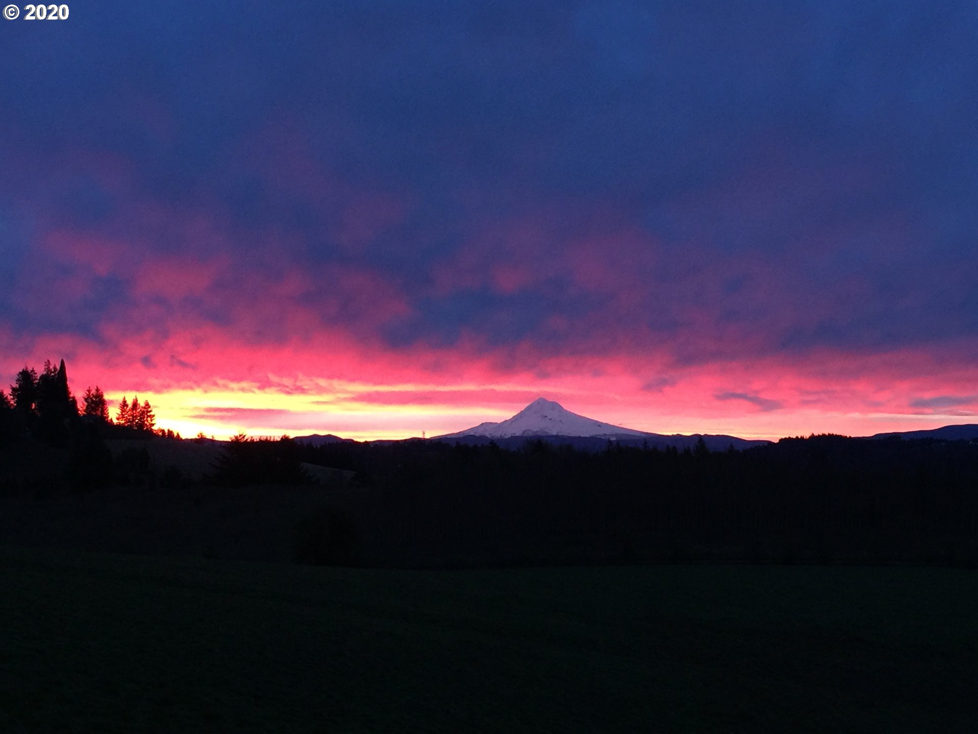 20665 Southeast Borges Road Damascus, OR 97089 - Photo 28 of 31