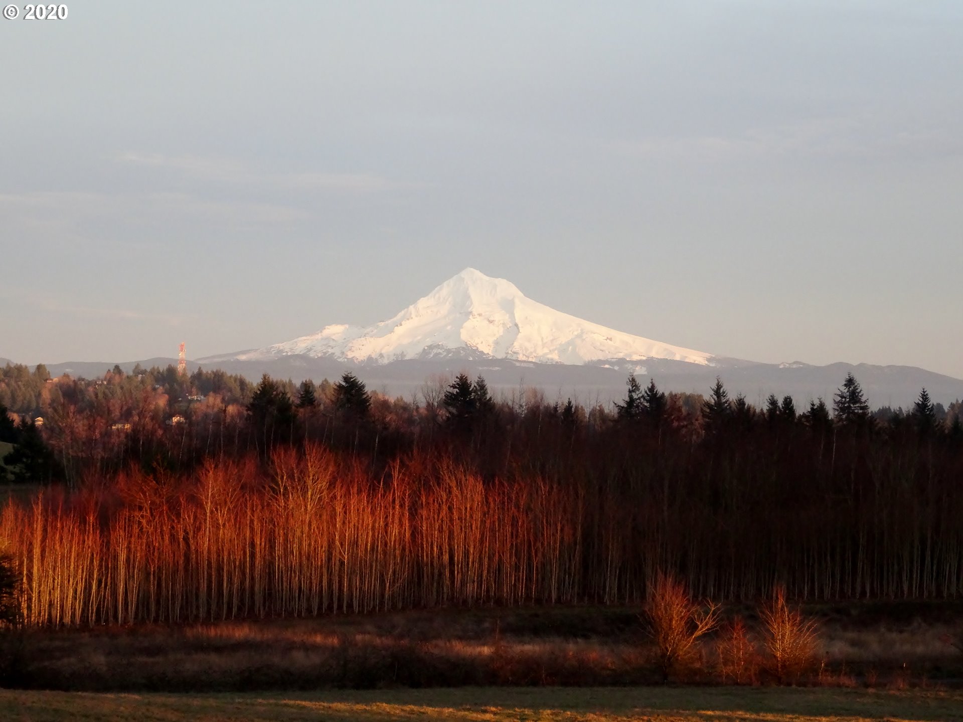 20665 Southeast Borges Road Damascus, OR 97089 - Photo 29 of 31