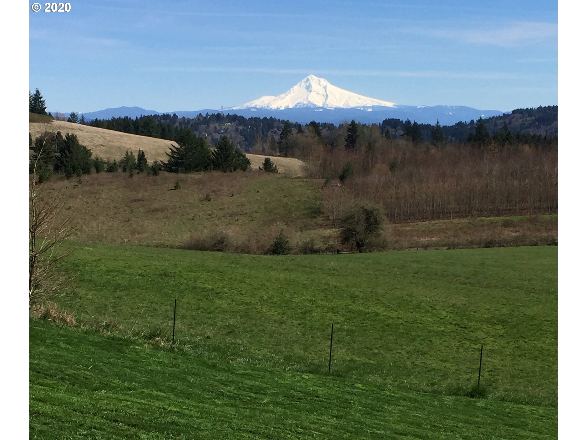 20665 Southeast Borges Road Damascus, OR 97089 - Photo 30 of 31