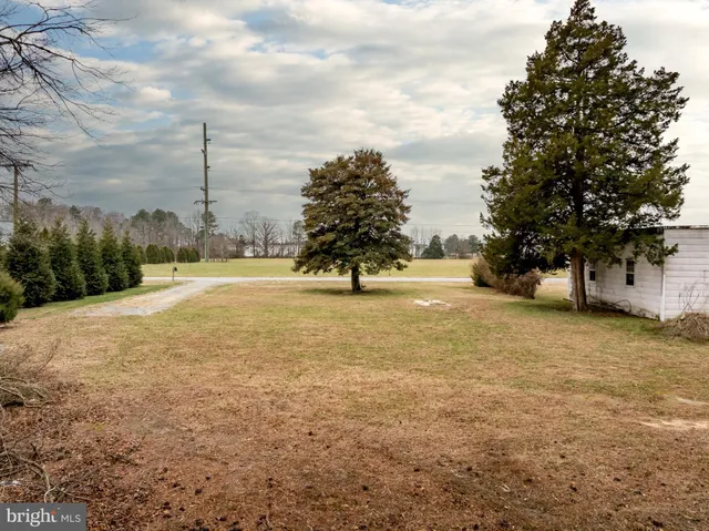 a view of a outdoor space