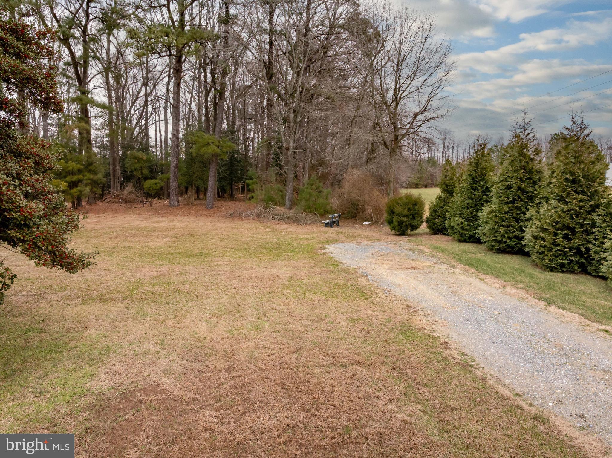 9571 Legion Road Denton, MD 21629 - Photo 25 of 26 a view of a yard with trees in front of it