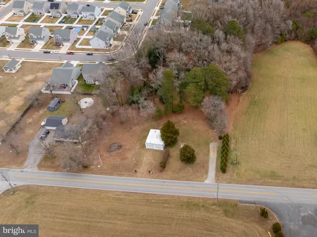a vase of flowers sitting on a table