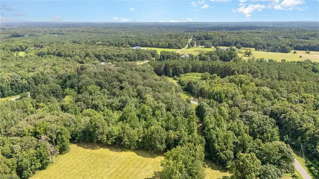 $175,000 | 0 Bailey Duncan Road, Siler City, NC 27344