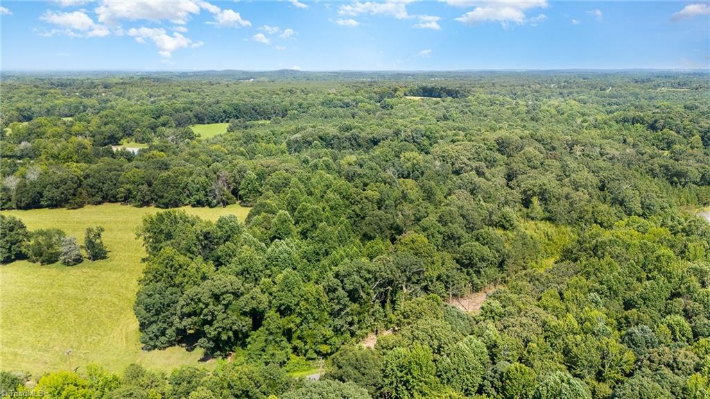 0 Bailey Duncan Road Siler City, NC 27344 - Photo 8 of 11 Gallery Image 8