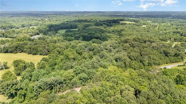 $175,000 | 0 Bailey Duncan Road, Siler City, NC 27344