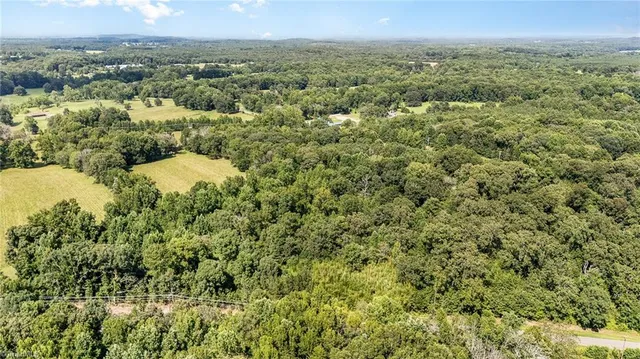 $175,000 | 0 Bailey Duncan Road, Siler City, NC 27344