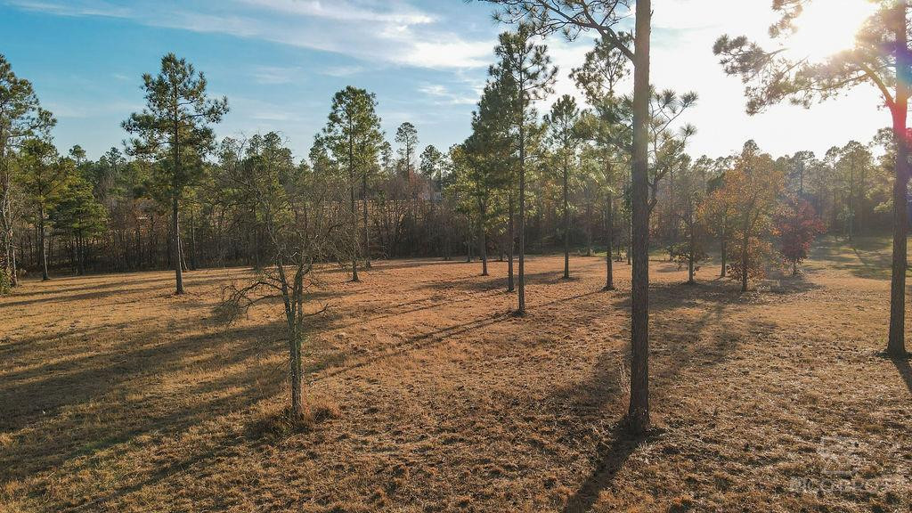 Lot 28 Rembert Place Aiken, SC 29803 - Photo 5 of 18