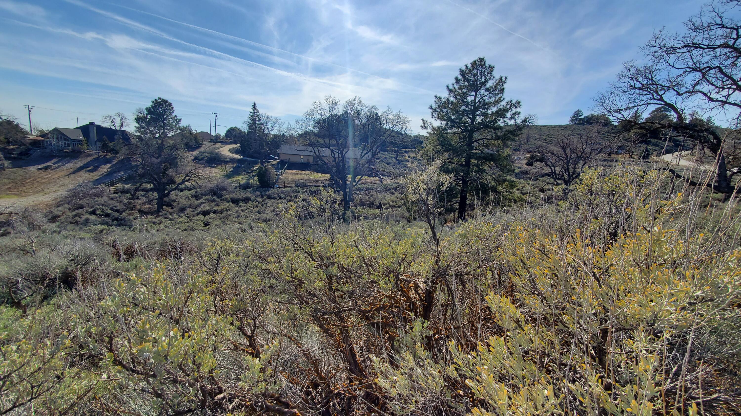 25041 Jacaranda Drive Tehachapi, CA 93561 - Photo 5 of 30 20230405_162022