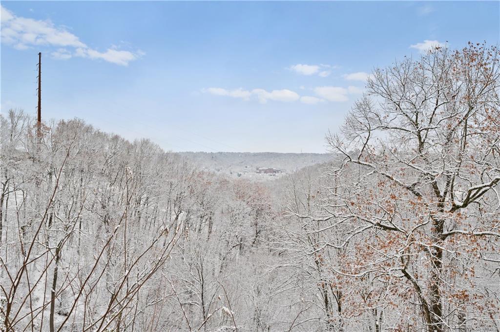 154 North Jamestown Road Coraopolis, PA 15108 - Photo 25 of 25 a view of a dry yard with trees in the background