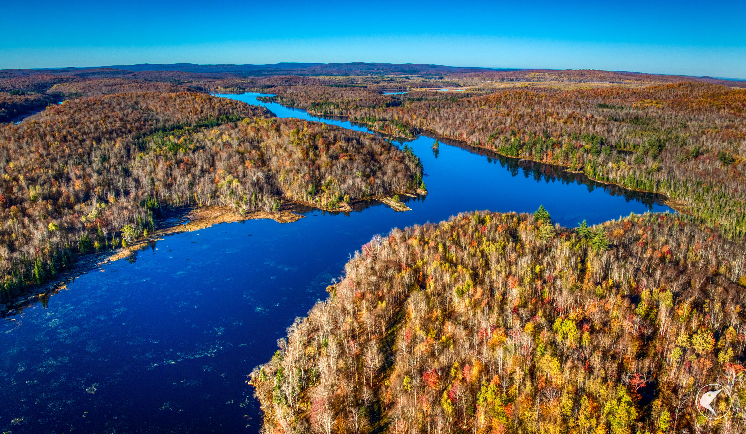 4891 State Rte 3 Newton Falls, NY 13666 - Photo 3 of 41 DJI_20241018091955_0041_D
