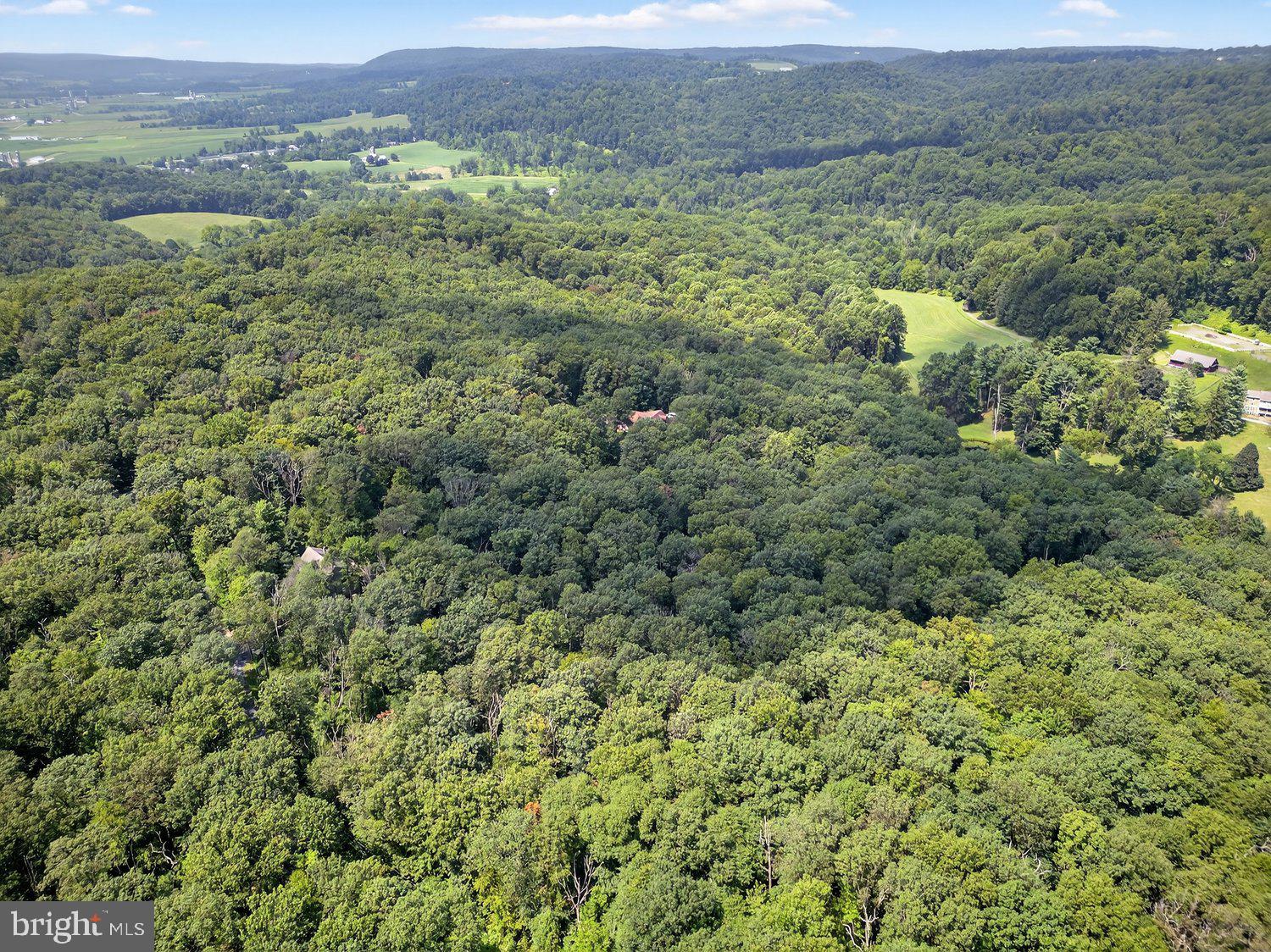 575 Whitehall Road Reinholds, PA 17569 - Photo 63 of 65 Gallery Image 63