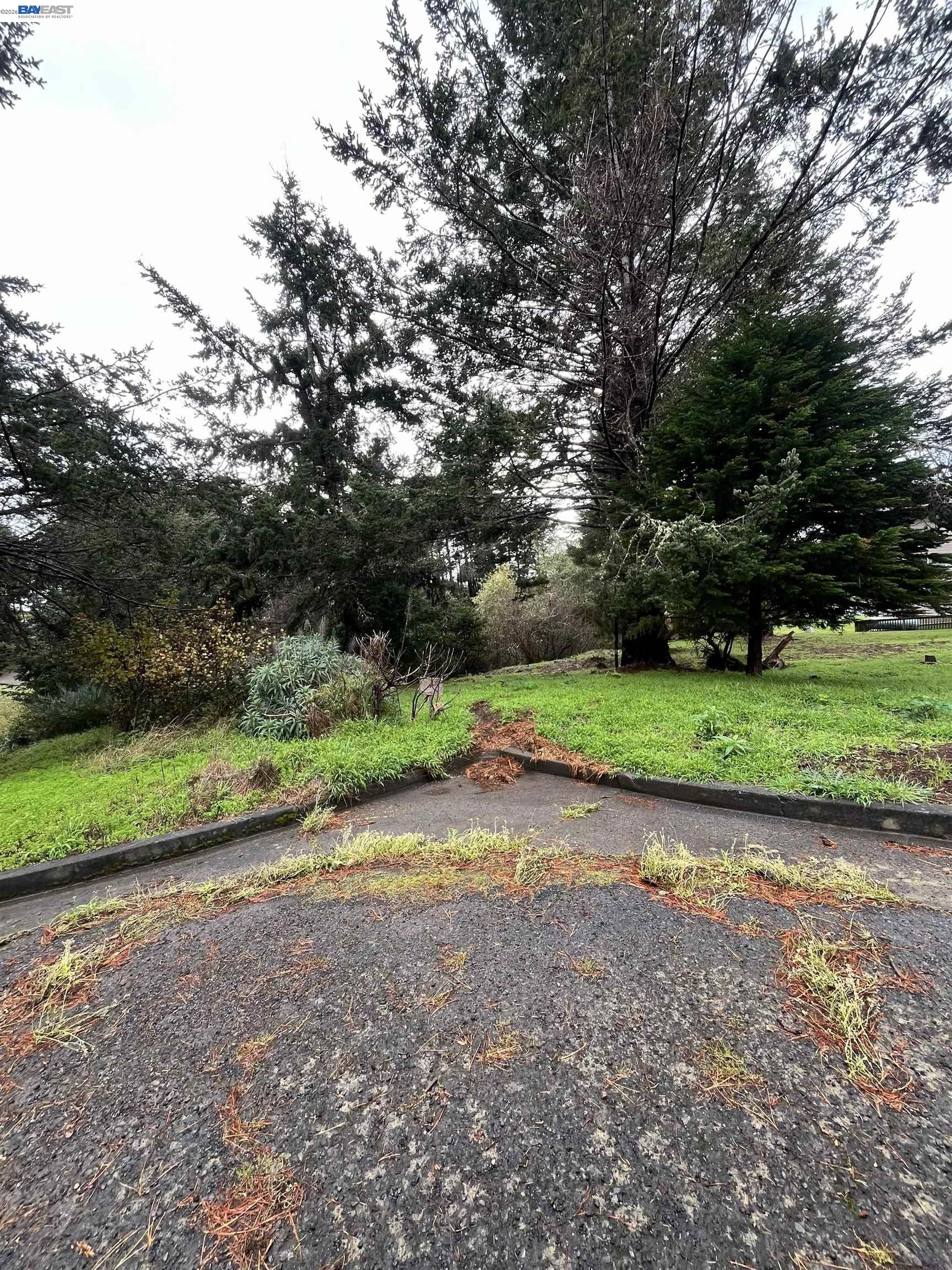 22 Spruce Court Whitethorn, CA 95589 - Photo 3 of 6 a view of a park with large trees