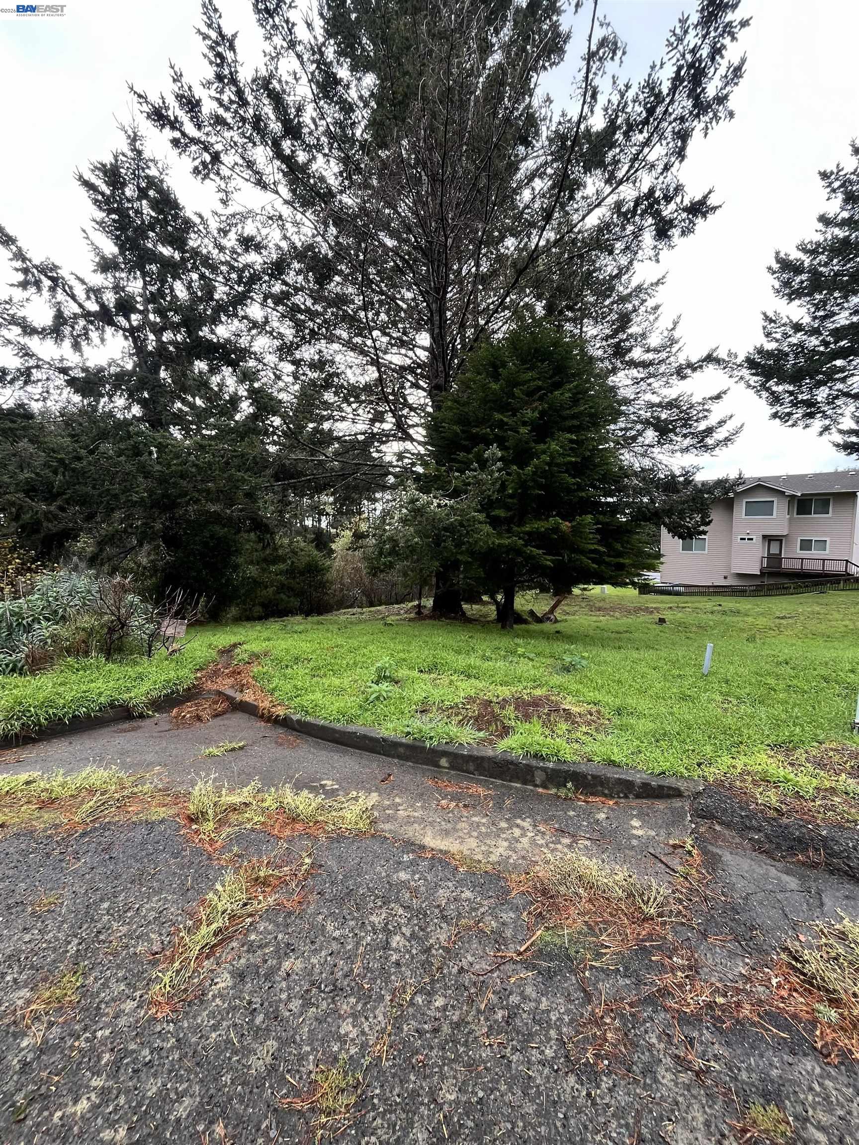 22 Spruce Court Whitethorn, CA 95589 - Photo 6 of 6 a view of a backyard with green space