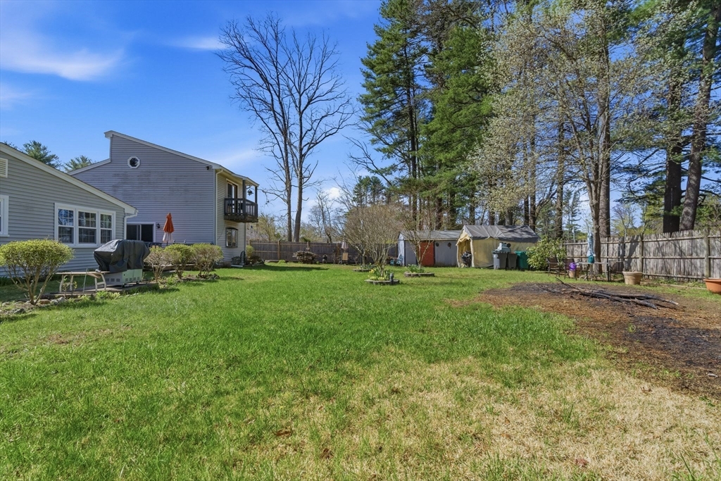 49 Francine Road Raynham, MA 02767 - Photo 28 of 31 a view of a yard with plants and trees