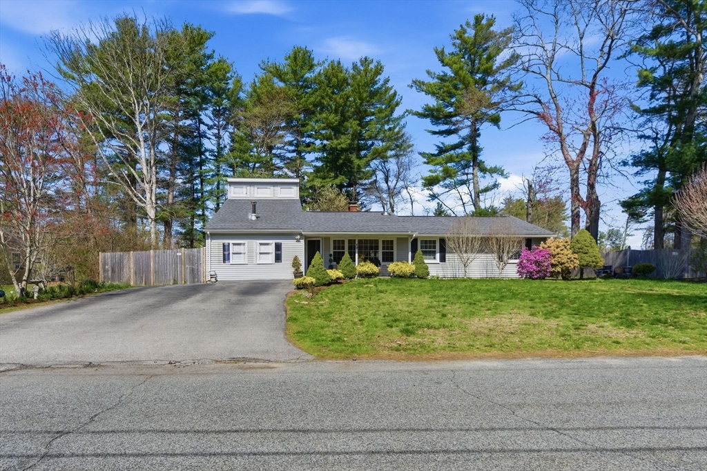 49 Francine Road Raynham, MA 02767 - Photo 29 of 31 a front view of a house with a garden and a tree