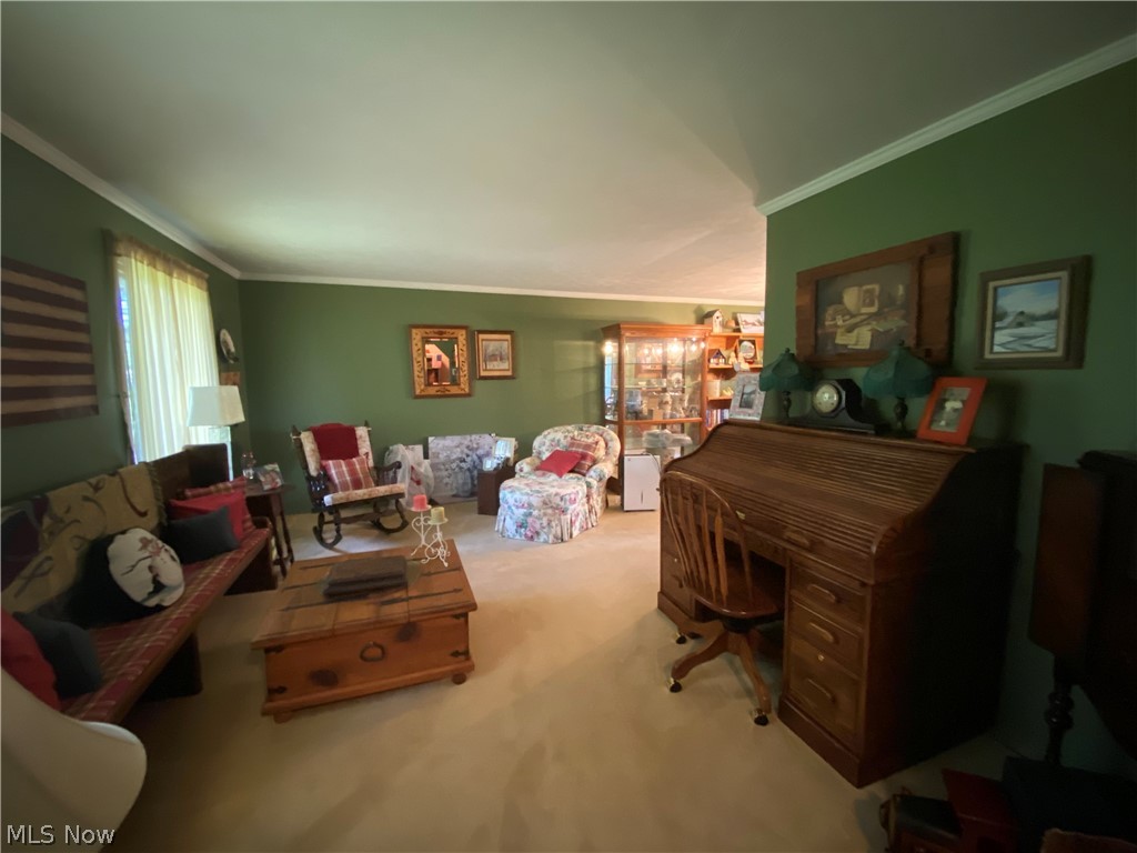 43351 Kipton Nickle Plate Road Lagrange, OH 44050 - Photo 8 of 15