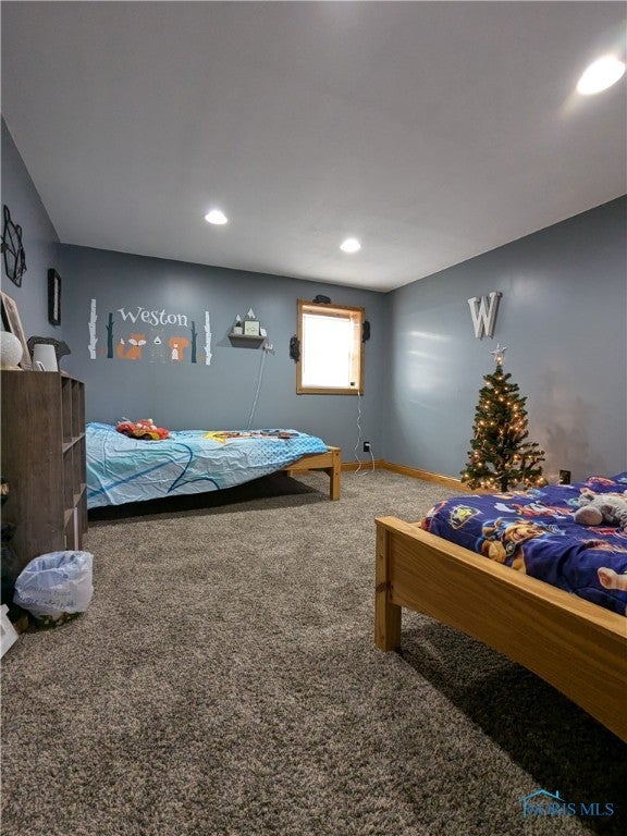 4316 Trinity Road Defiance, OH 43512 - Photo 19 of 43 Gallery Image 19