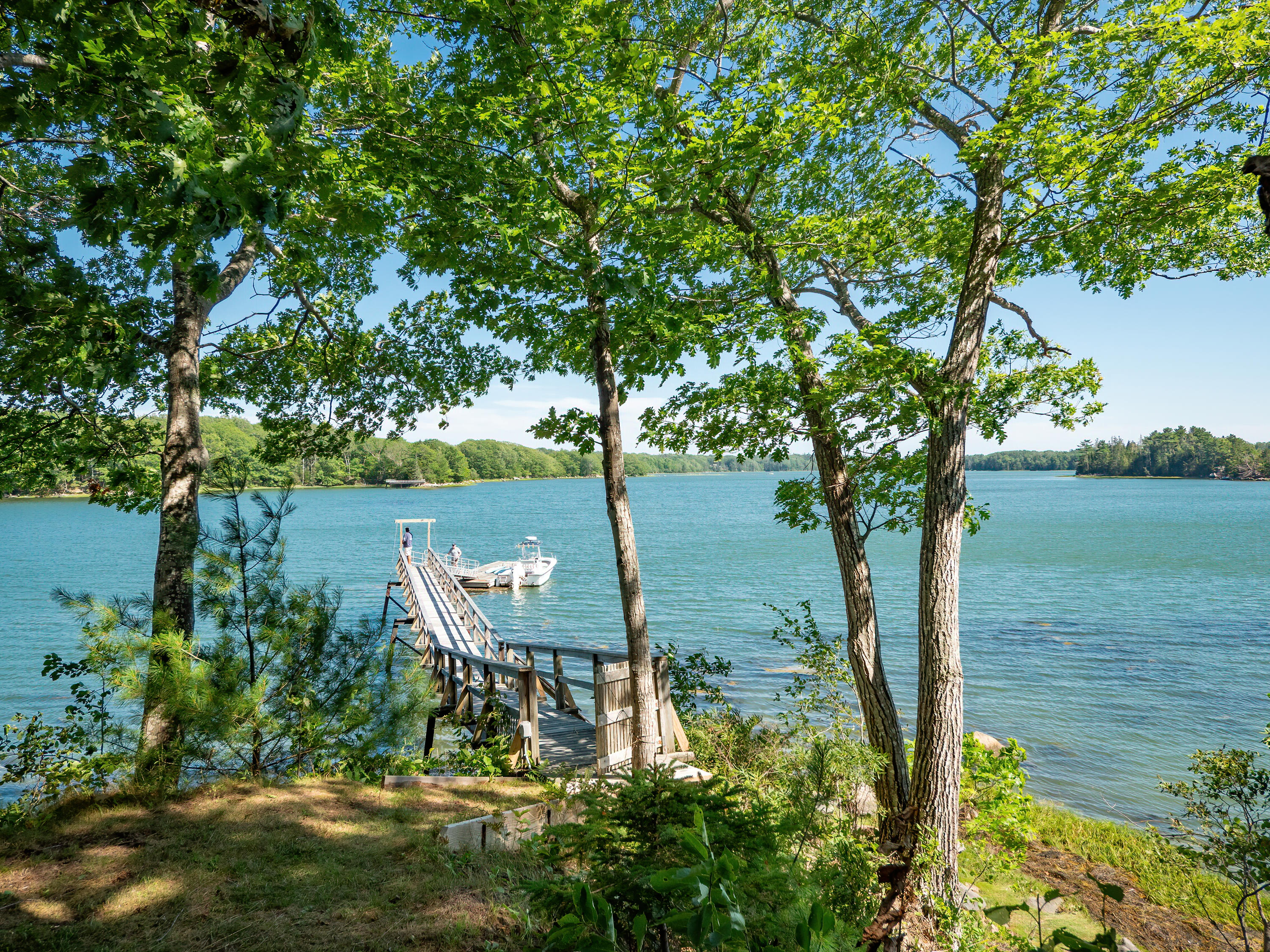 178 Johnson Point Road Penobscot, ME 04476 - Photo 15 of 108 178 Johnson Point HiRes (108)