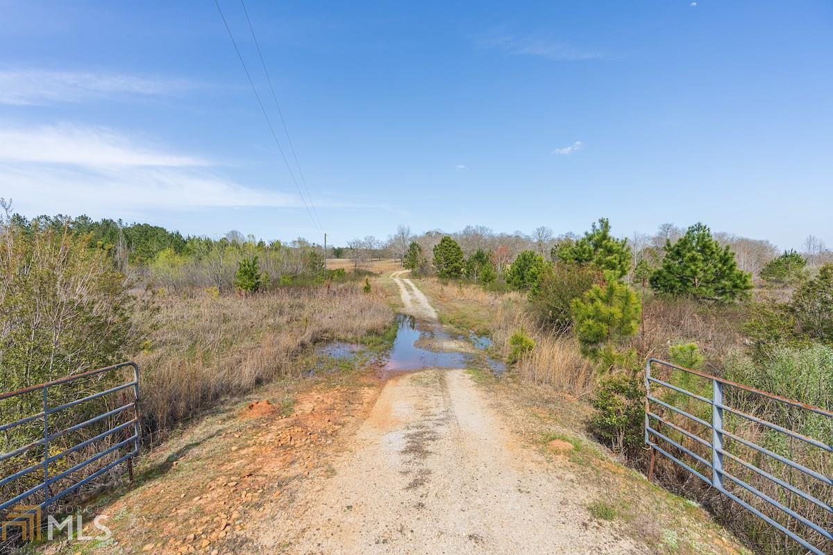 0 Kittrell Creek Road Sandersville, GA 31082 - Photo 1 of 1 Gallery Image 1