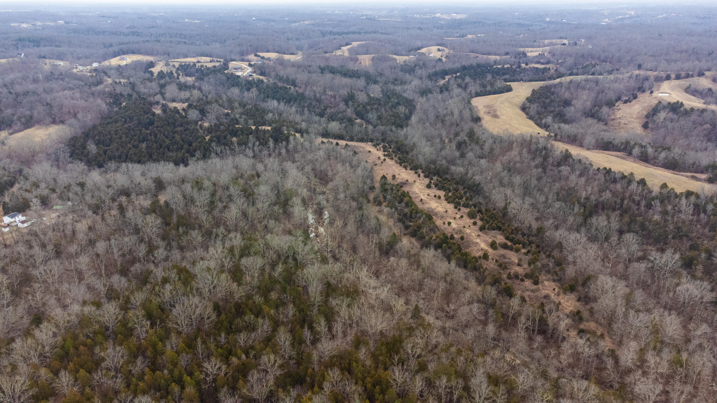 52-ac Ashby Road Lawrenceburg, KY 40342 - Photo 6 of 9 Real Estate - 1366 Ashby Rd (30 of 35)