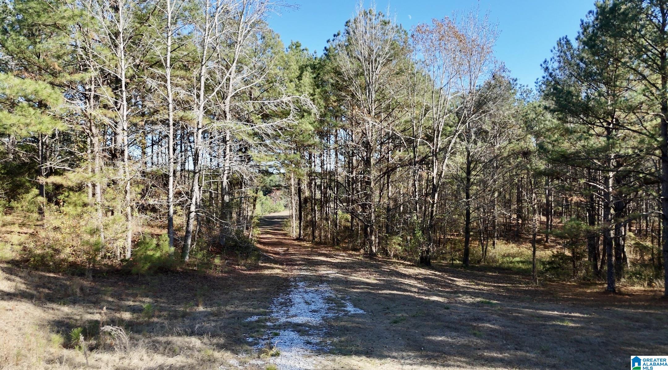 10000 Eastern Valley Road, Unit 10000 West Blocton, AL 35184 - Photo 11 of 21