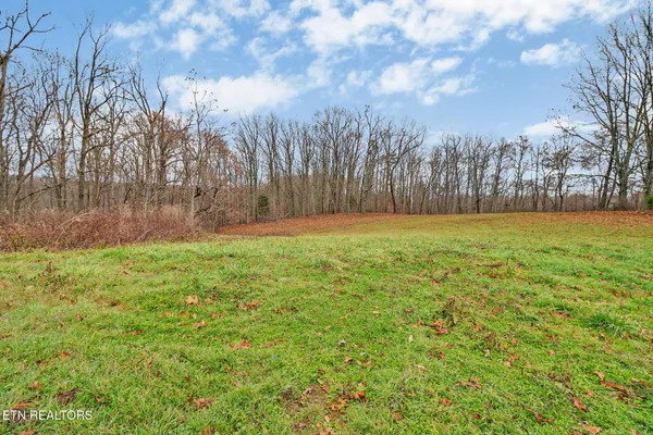 a view of open field with trees in the background