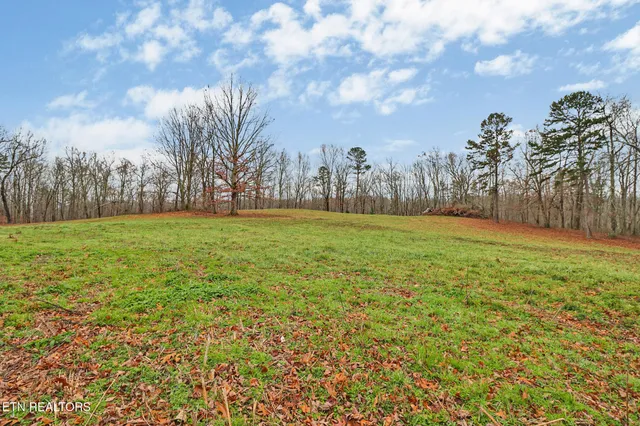 a view of a big yard with palm trees