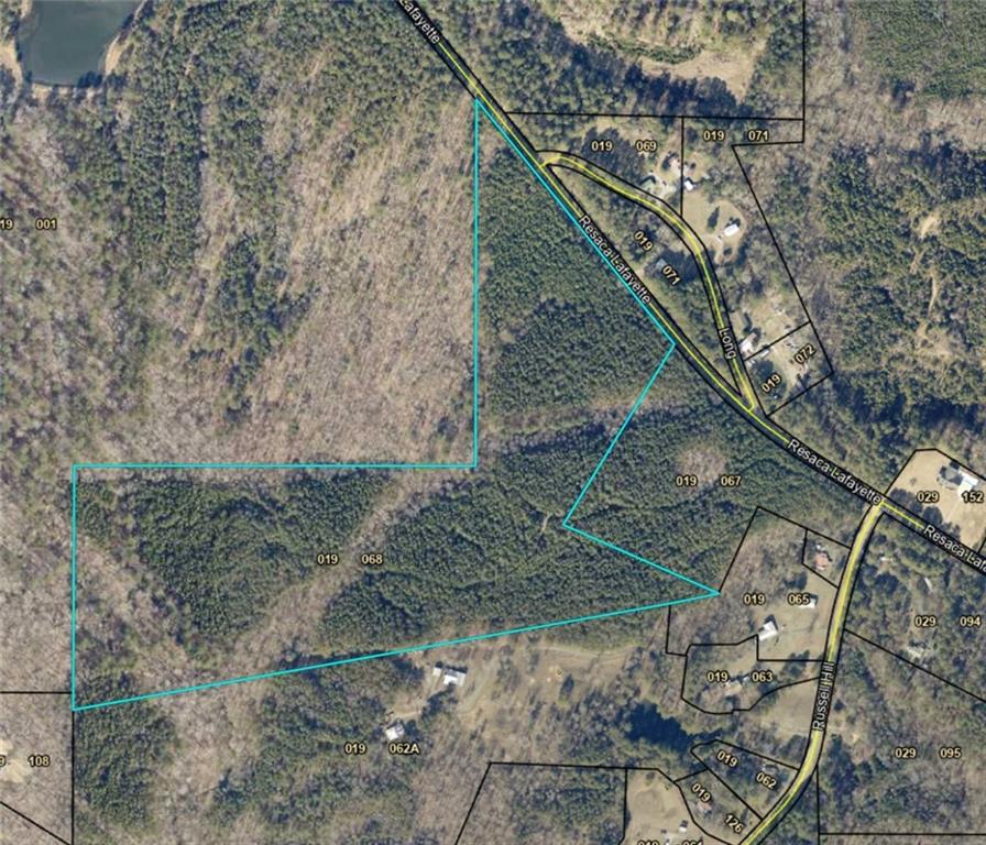0 Resaca Lafayette Road Sugar Valley, GA 30746 - Photo 1 of 7 a view of a yard with a tree