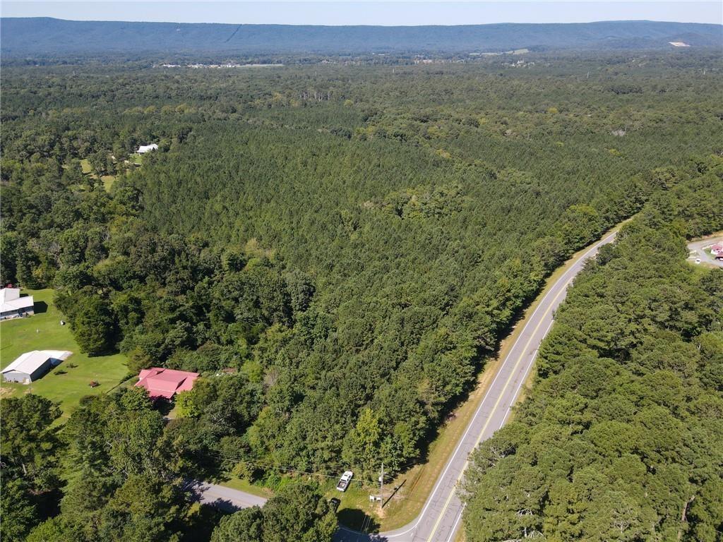 0 Resaca Lafayette Road Sugar Valley, GA 30746 - Photo 2 of 7 a view of a forest with a street and trees