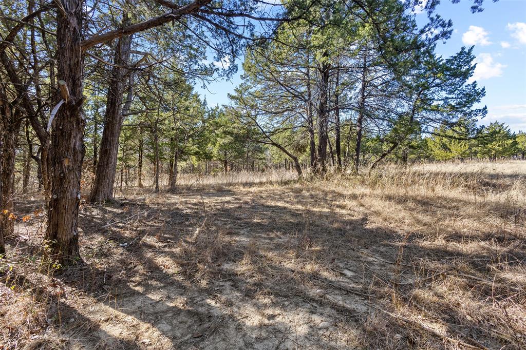 Tbd Key Road Sherman, TX 75090 - Photo 2 of 24 a view of dirt yard with a tree