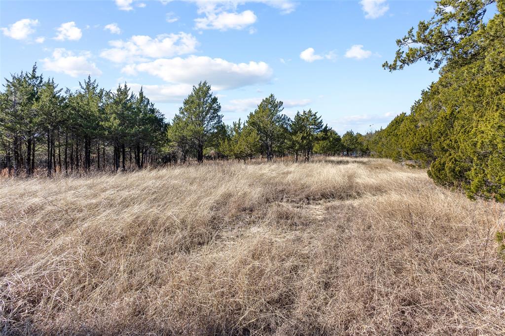 Tbd Key Road Sherman, TX 75090 - Photo 3 of 24 a view of back yard of the house
