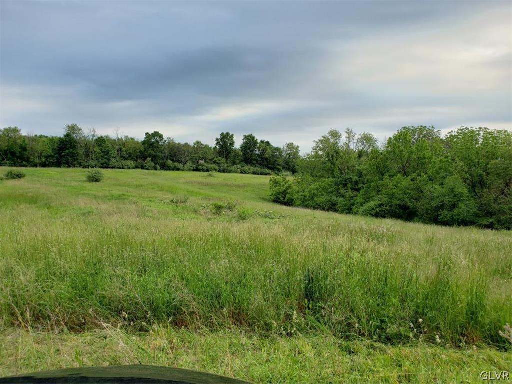 6602 Sweitz Road New Tripoli, PA 18066 - Photo 3 of 10 Gallery Image 3