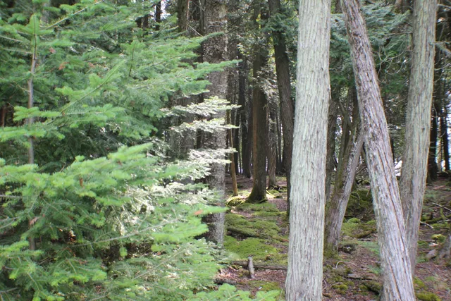 $120,000 | Tbd South Tbd S S Strach Row, Unit 9, Drummond Island, MI 49726