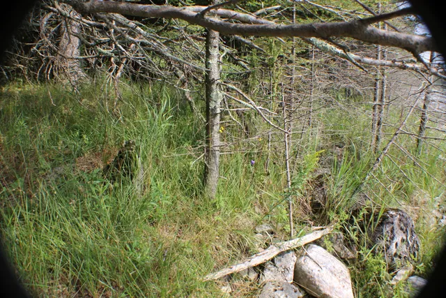 $120,000 | Tbd South Tbd S S Strach Row, Unit 9, Drummond Island, MI 49726