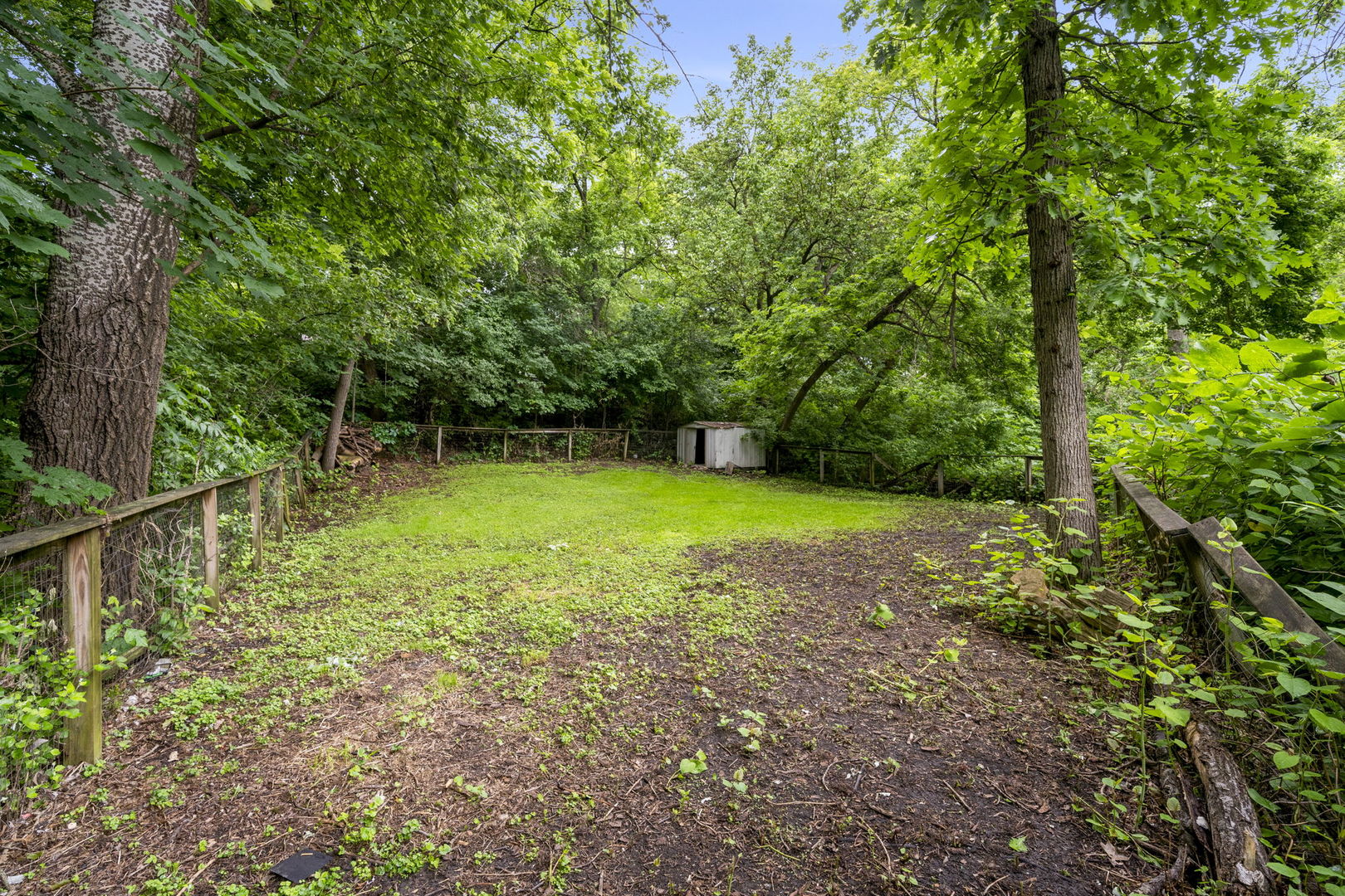 532 Willard Avenue Elgin, IL 60120 - Photo 18 of 19 a view of a yard with a large trees