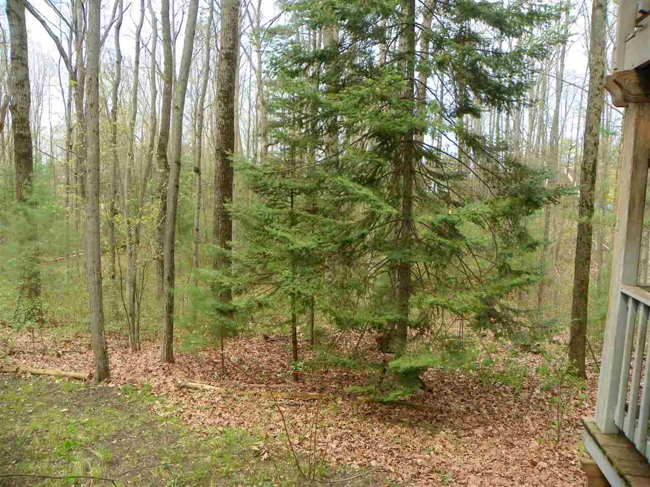 540 Wilson Road Harrison, MI 48625 - Photo 11 of 32