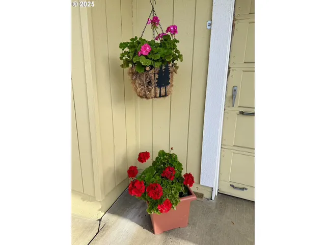 $319,000 | 159 Northeast Lombardy Drive, Roseburg, OR 97470