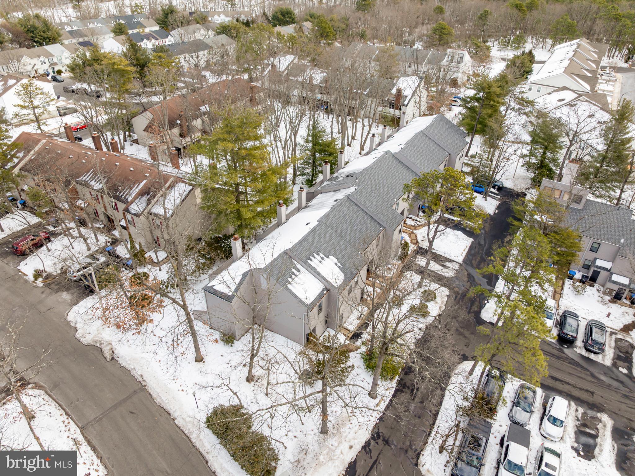 607 Bromley Estate Pine Hill, NJ 08021 - Photo 16 of 21 Serene winter view of a quiet neighborhood.