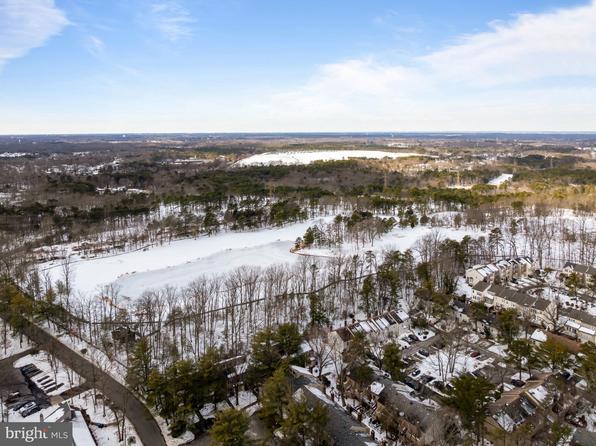 607 Bromley Estate Pine Hill, NJ 08021 - Photo 19 of 21 Winter's serene landscape unfolds below.