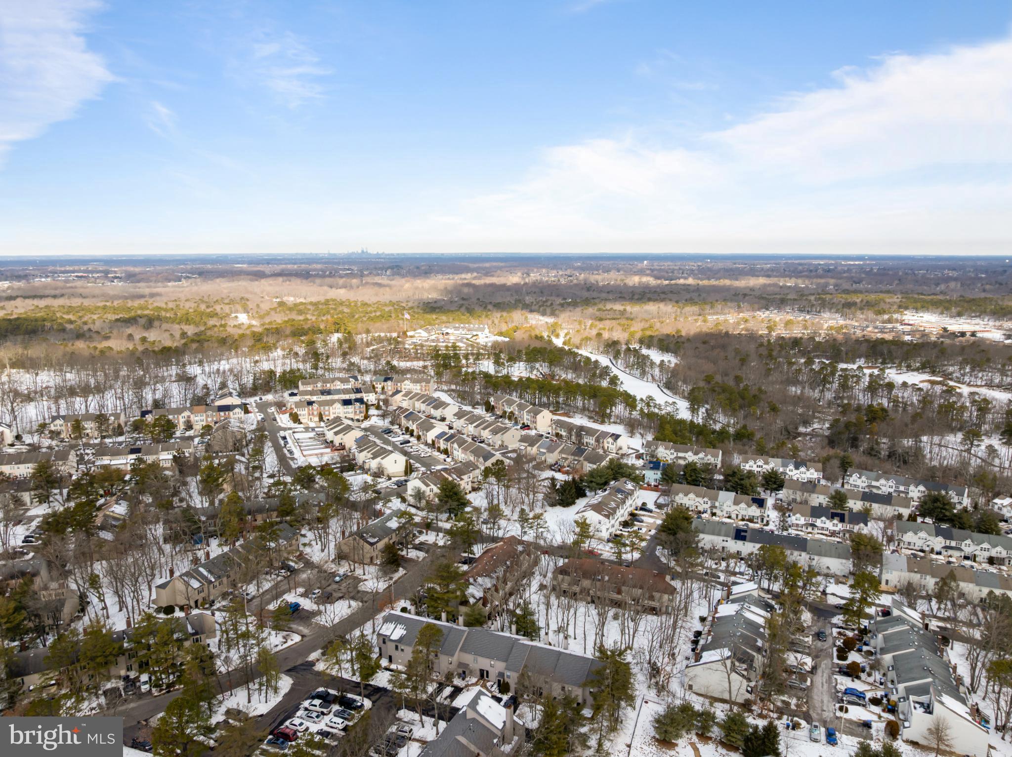 607 Bromley Estate Pine Hill, NJ 08021 - Photo 20 of 21 Serene winter landscape over suburban homes.