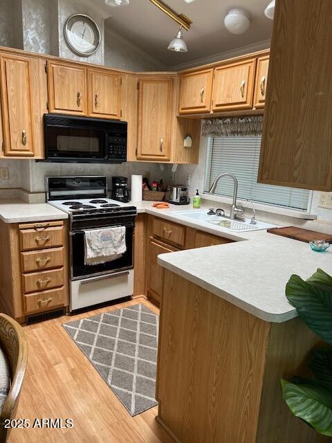 3710 South Goldfield Road Apache Junction, AZ 85119 - Photo 7 of 14 a kitchen with a stove a sink and a microwave