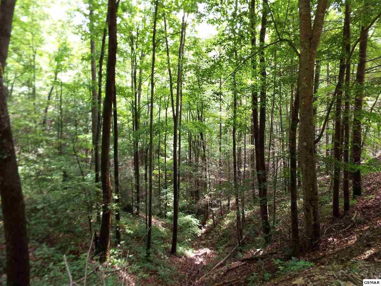 15 Meadow View Road Sevierville, TN 37862 - Photo 14 of 24