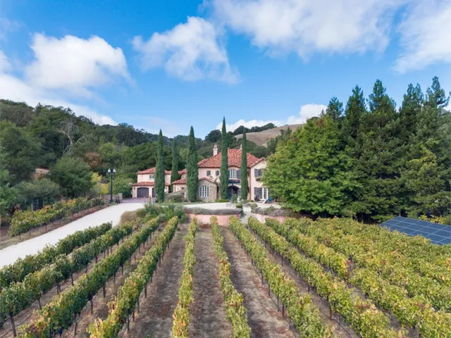 a view of a city with flower plants in front of house