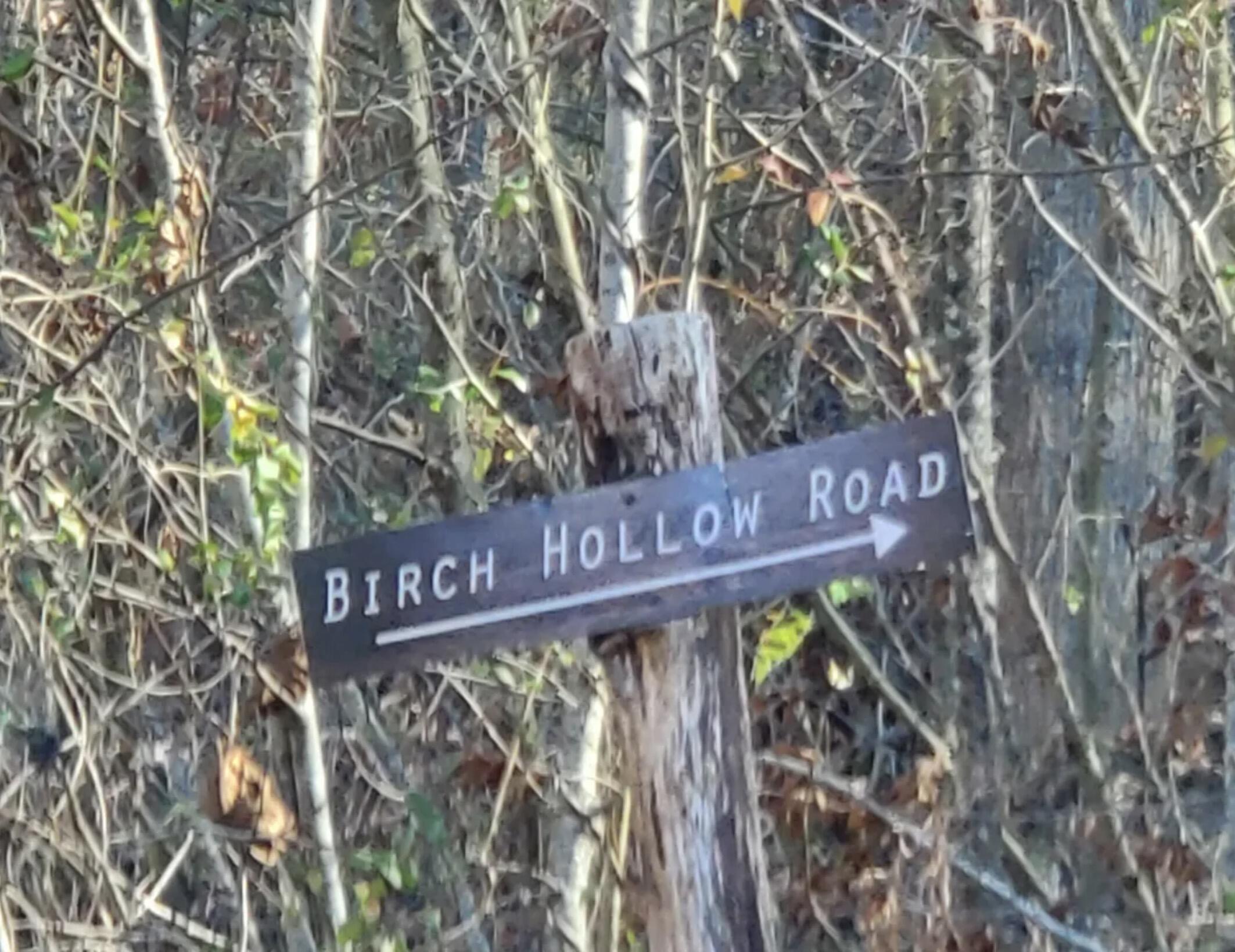 0 Birch Hollow Road, Unit LOT 12 Stanton, KY 40380 - Photo 4 of 8