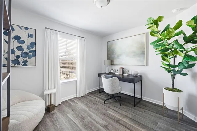 a living room with furniture and a potted plant