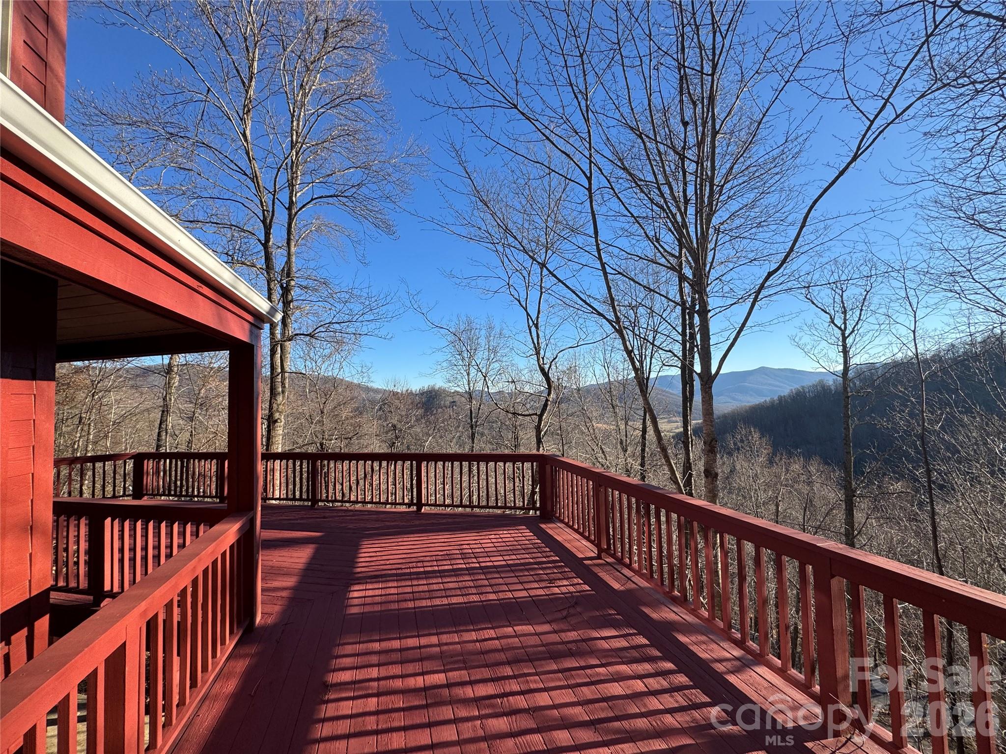 7 Winding Poplar Road Black Mountain, NC 28711 - Photo 3 of 48