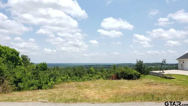$39,000 | 0 Skyline Drive, Brownsboro, TX 75756