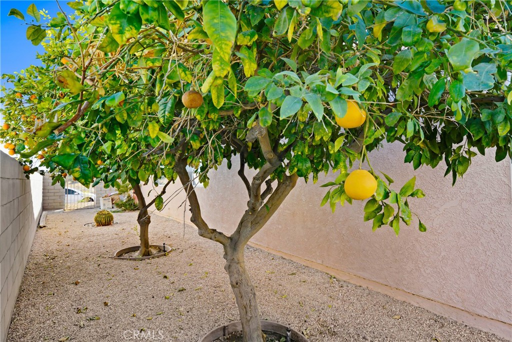 69860 Mccallum Way Cathedral City, CA 92234 - Photo 23 of 25 a view of a backyard